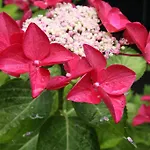 Prantner 2* 인스브루크