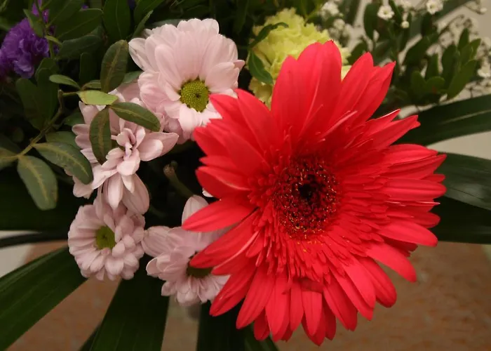 Prantner Konukevi 2*