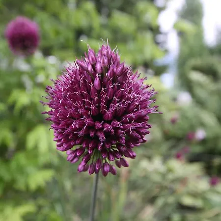 Prantner Guest house Innsbruck