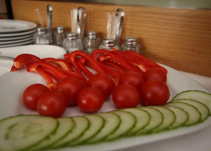 普拉特娜膳食公寓 2*