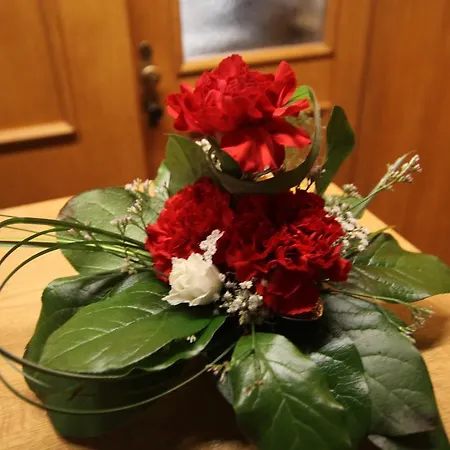 Prantner Інсбрук